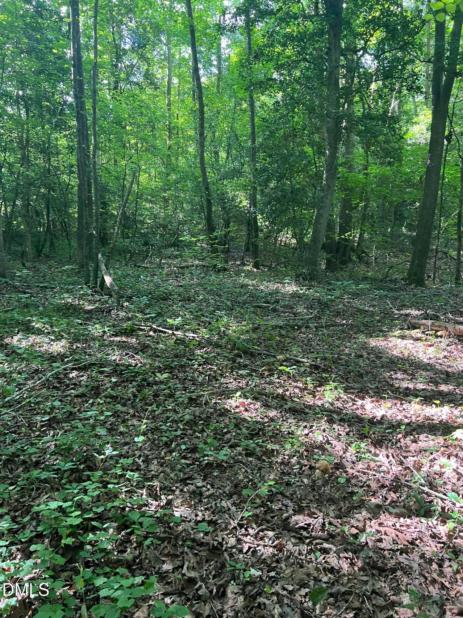 IMG_8668 - Lot 7 Fishing Creek Road, Enfield, NC 27823