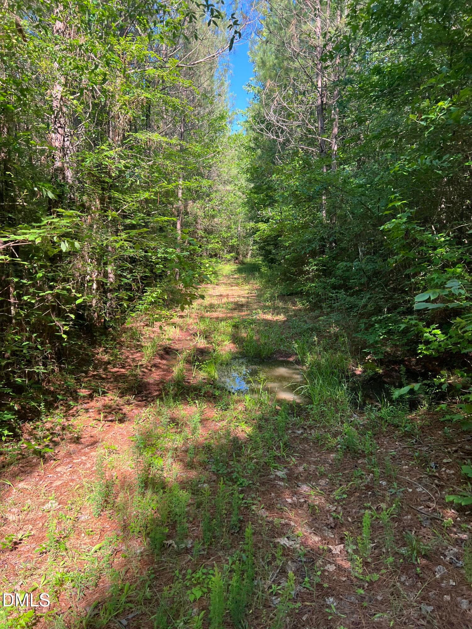 IMG_8675 - Lot 7 Fishing Creek Road, Enfield, NC 27823