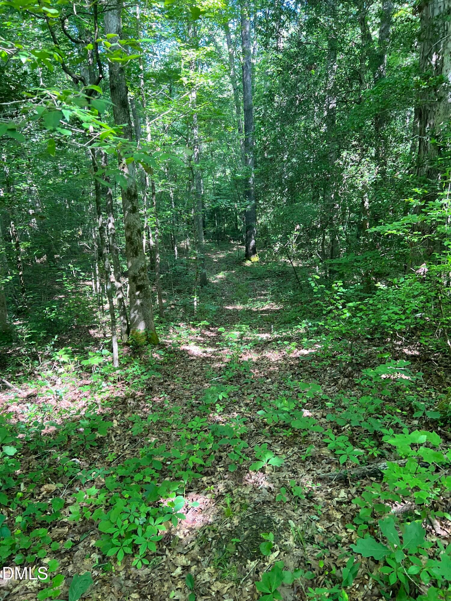 IMG_8677 - Lot 7 Fishing Creek Road, Enfield, NC 27823