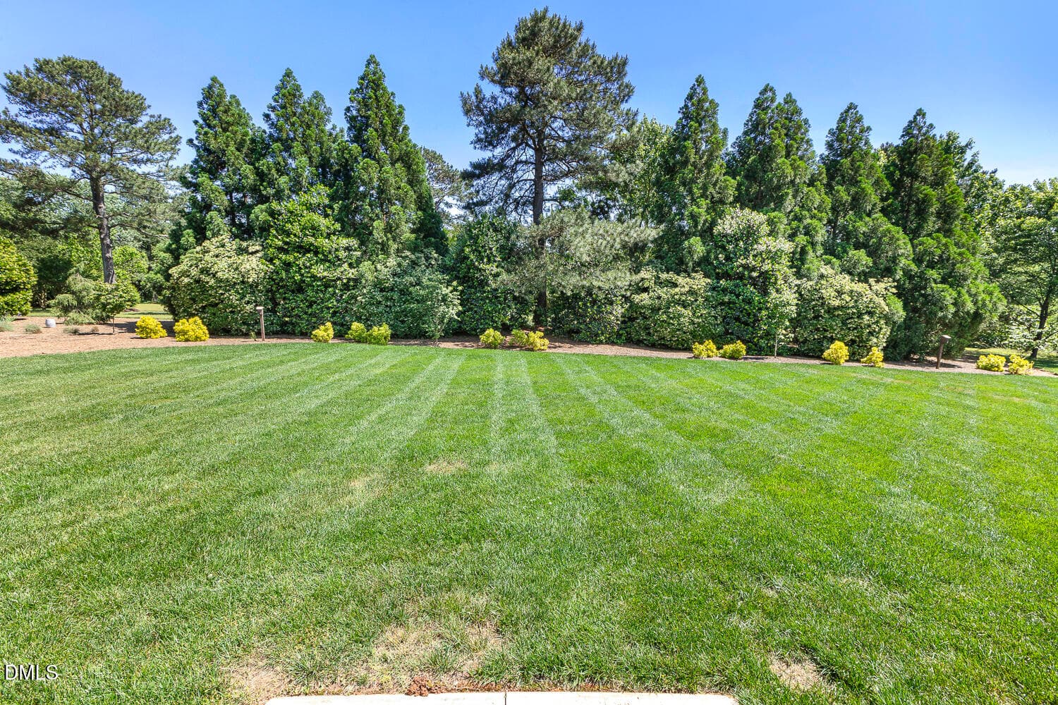 097 - 6909 Darcy Lane, Raleigh, NC 27606, Raleigh
