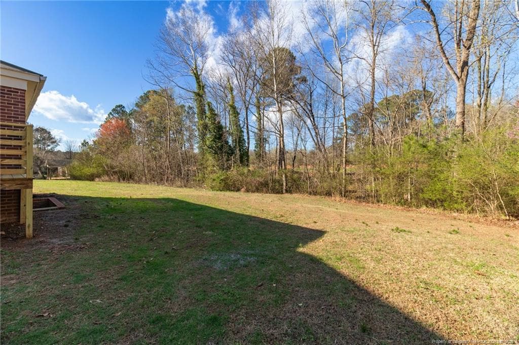 Backyard View - 2200 W Third Street, Siler City, NC 27344, Siler City