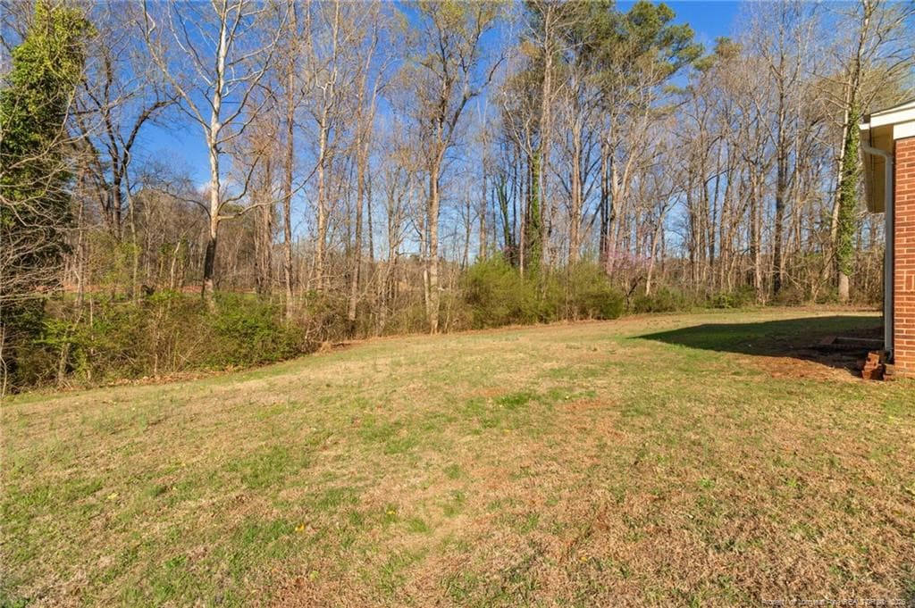 Wooded backyard - 2200 W Third Street, Siler City, NC 27344, Siler City