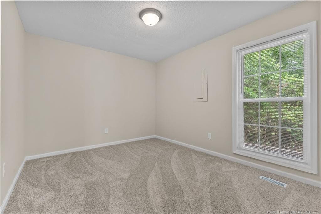 Photo 14 - 174 Bienville Drive, Fayetteville, NC 28311, Fayetteville
