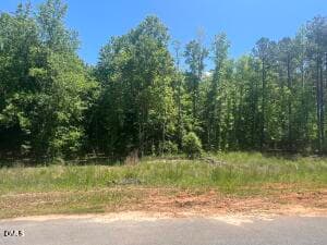 IMG_3097 - 40 Downes Trail, Selma, NC 27576