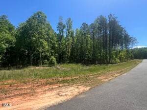 IMG_3098 - 40 Downes Trail, Selma, NC 27576