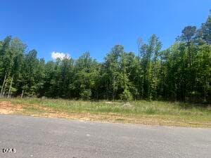 IMG_3099 - 40 Downes Trail, Selma, NC 27576