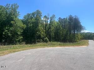 IMG_3102 - 40 Downes Trail, Selma, NC 27576