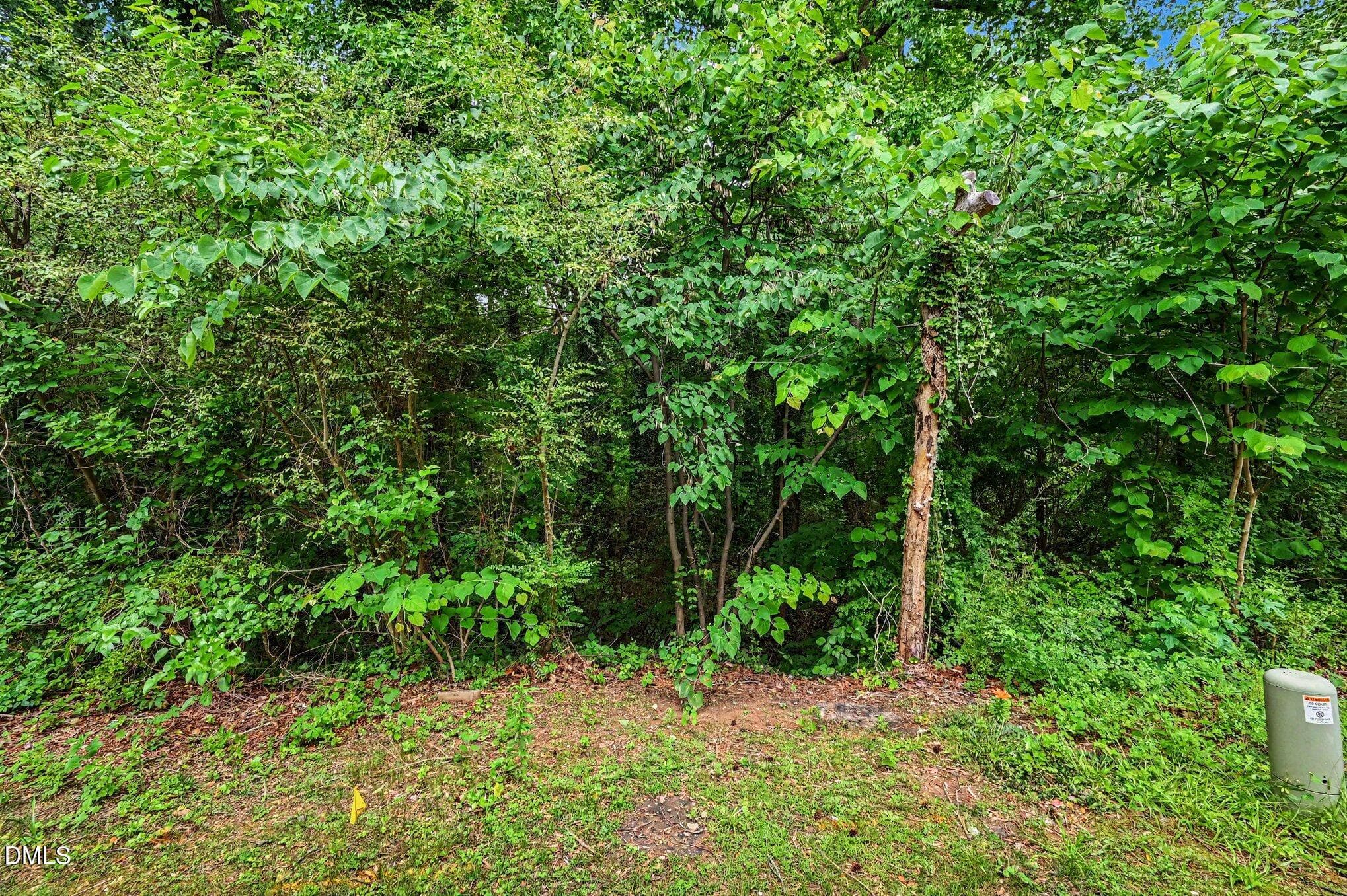 026_file_5399 - 4704 Blue Bird Court #D, Raleigh, NC 27606, Raleigh
