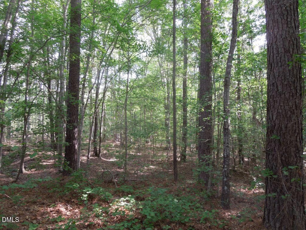 DSCN0476 - 000 Glebe Road, Henderson, NC 27537