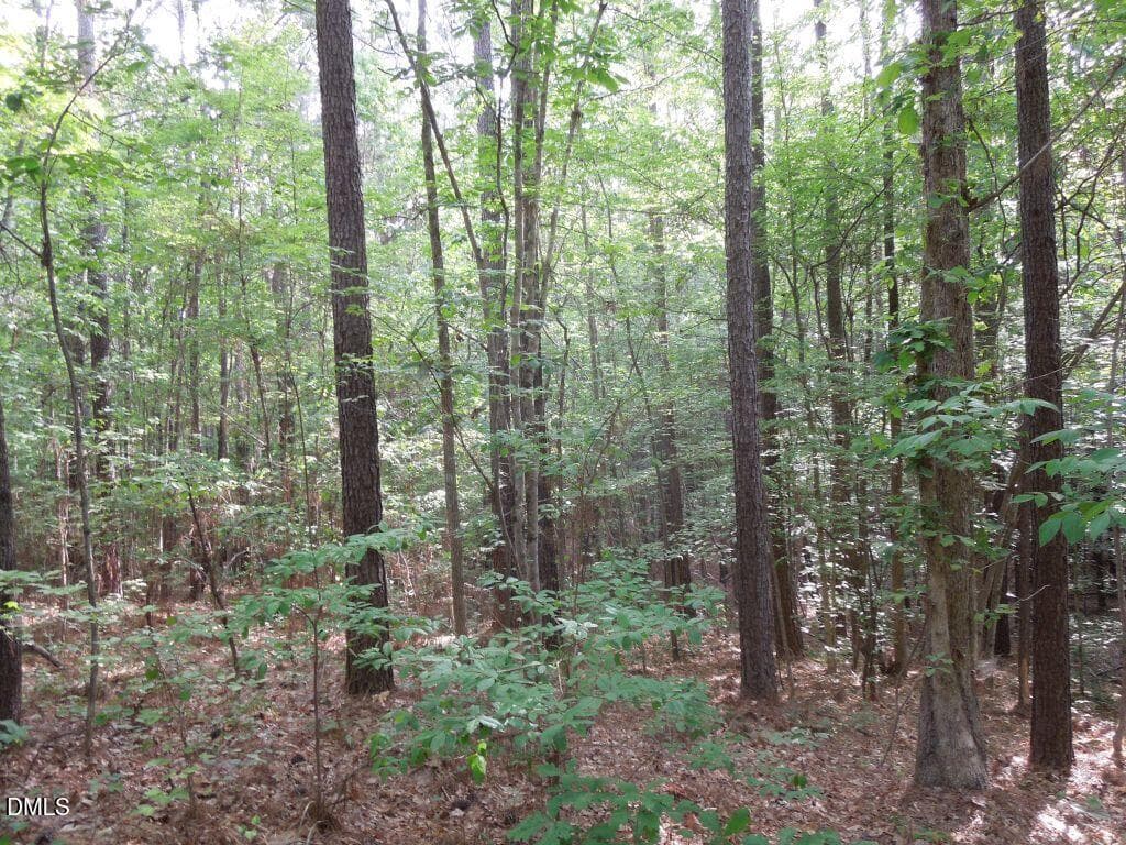 DSCN0482 - 000 Glebe Road, Henderson, NC 27537
