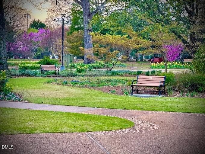 Park 2 - 933 St Marys Street, Raleigh, NC 27605, Raleigh