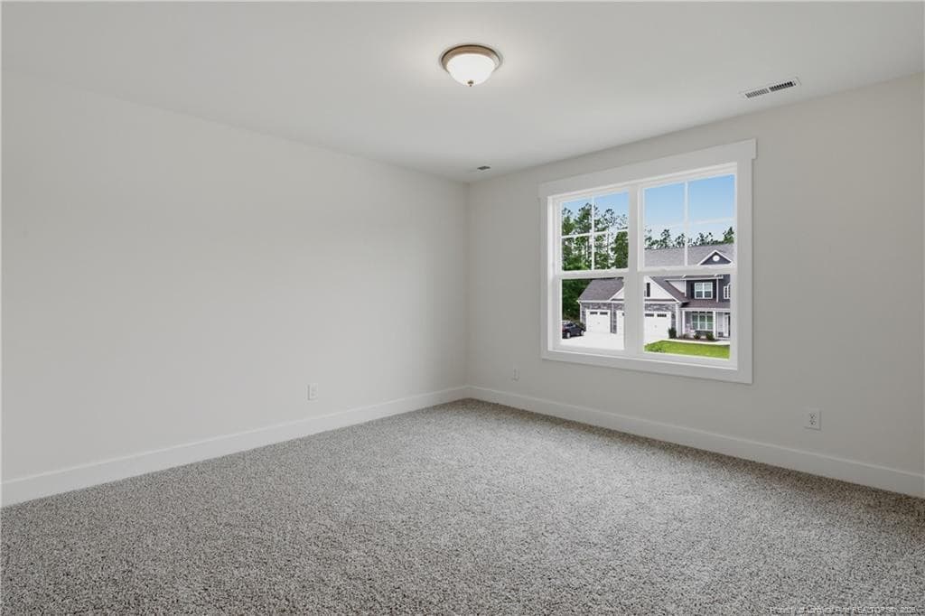Photo 46 - 1923 Thomas Wood (Lot 103) Drive, Fayetteville, NC 28306, Fayetteville