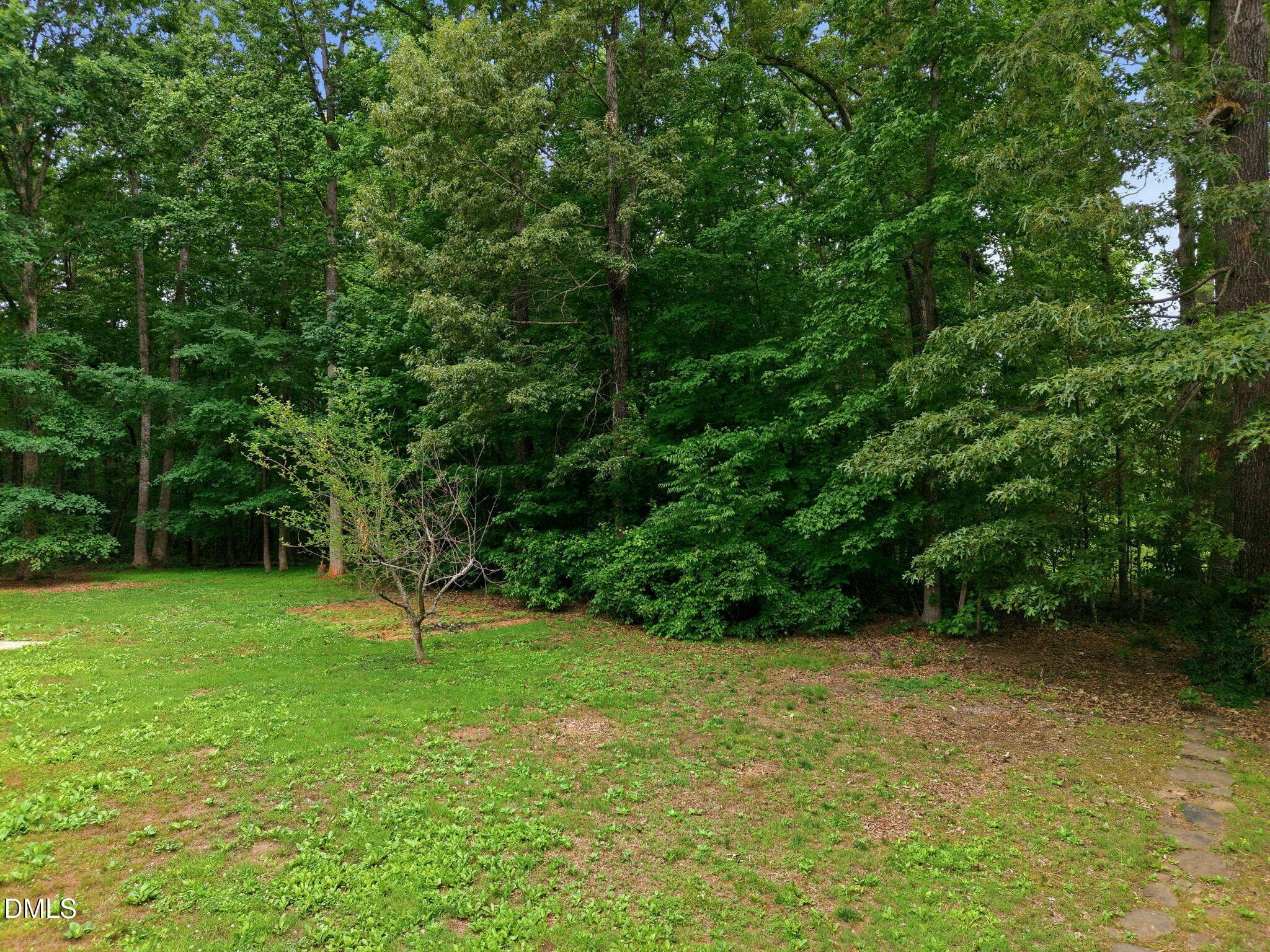 9-web-or-mls-DJI_20260527122424_0407_D - 7048 Curdsand Way, Rougemont, NC 27572
