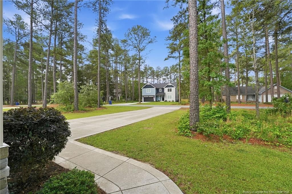 Drive/Walkway - 15981 Old Orchard Court, Wagram, NC 28396