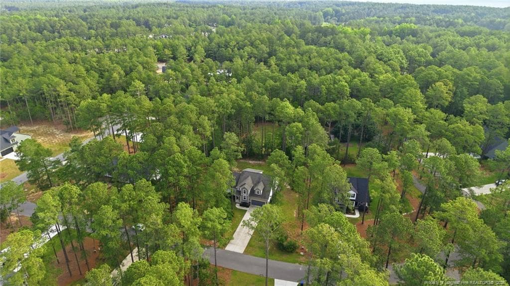 Cul-da-sac - 15981 Old Orchard Court, Wagram, NC 28396