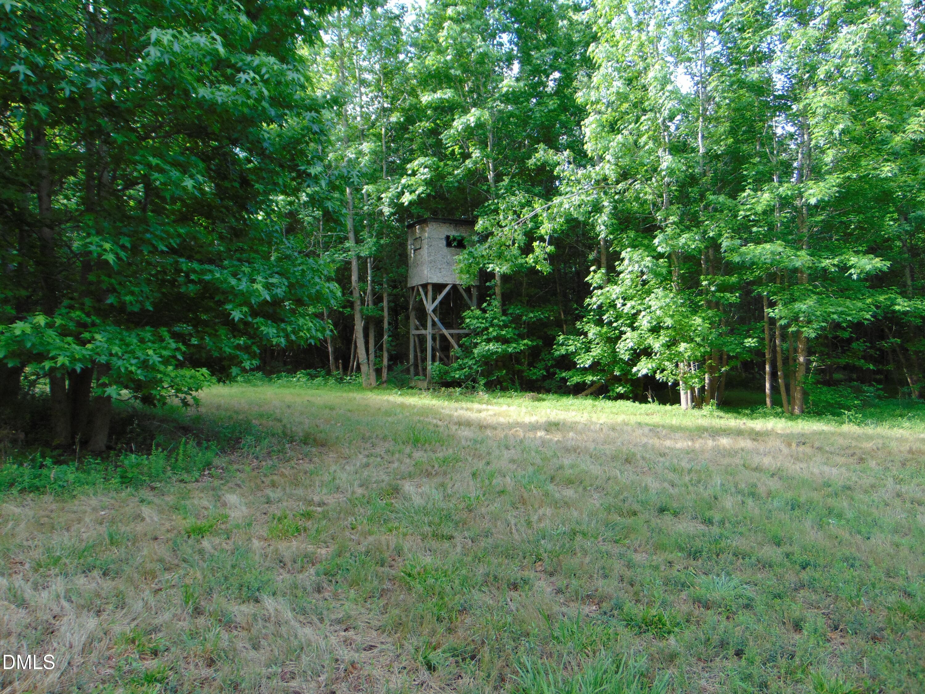 DSC01570 - 0 Walters Mill Road, Providence, NC 27315