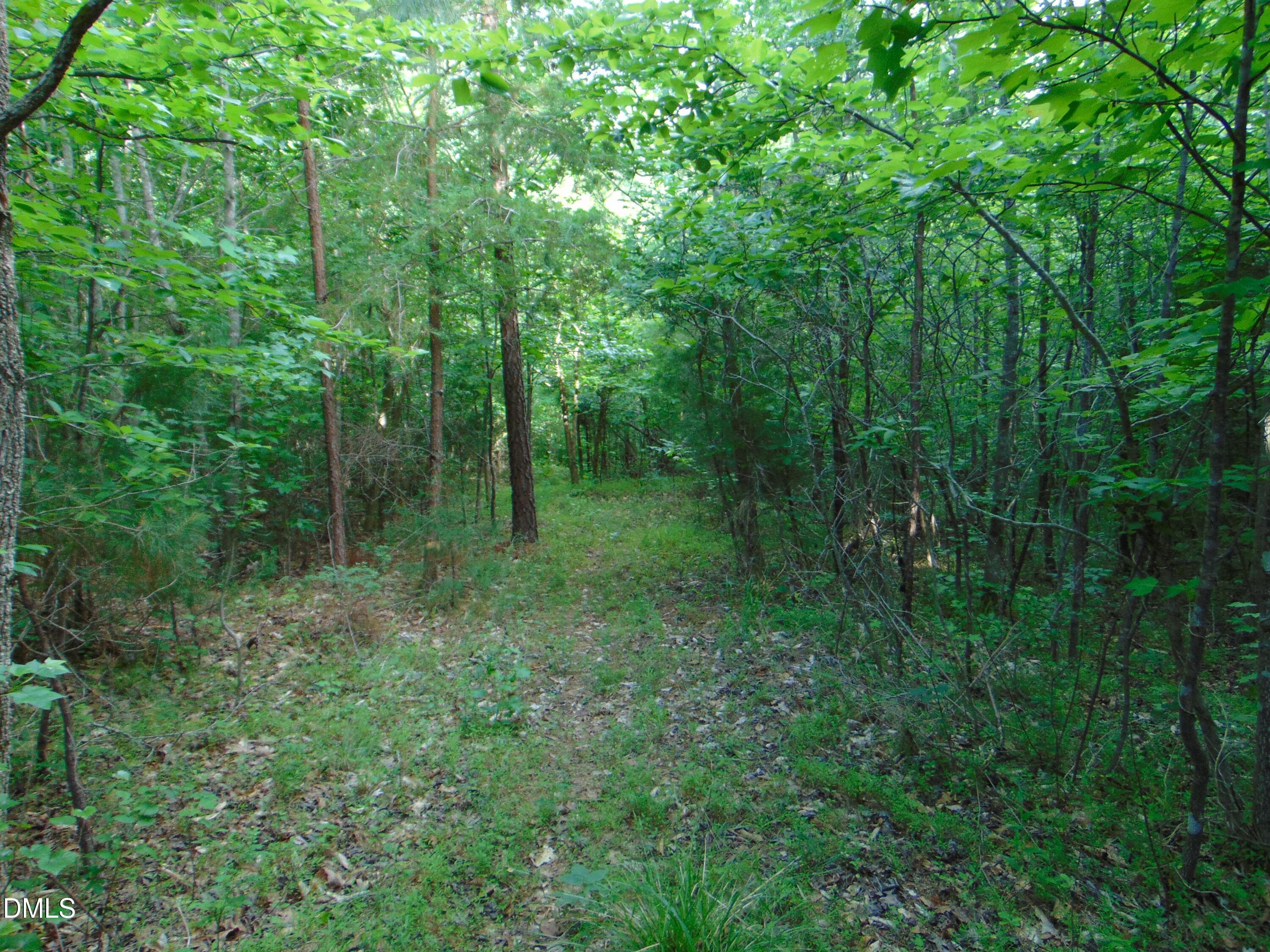 DSC01572 - 0 Walters Mill Road, Providence, NC 27315