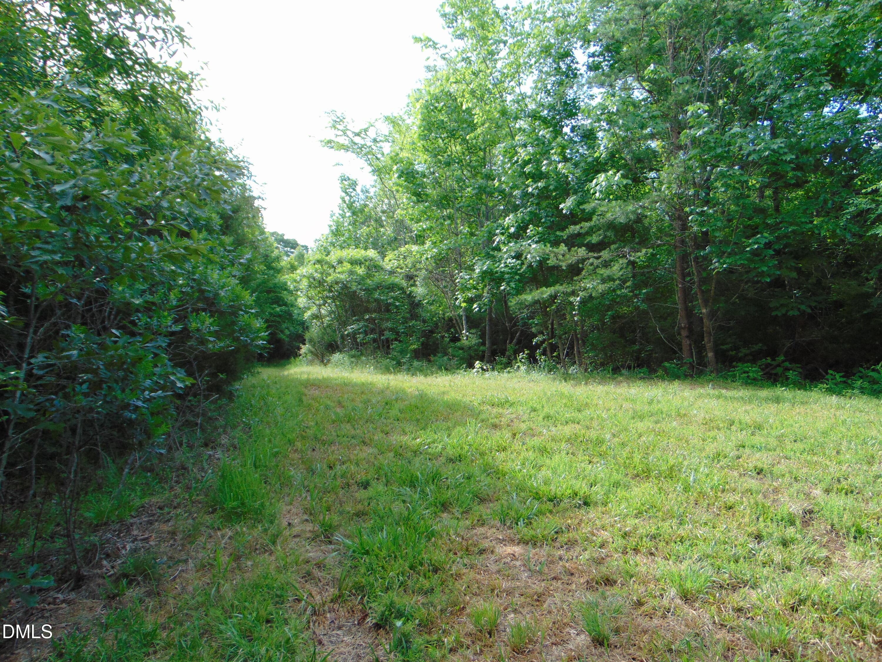 DSC01577 - 0 Walters Mill Road, Providence, NC 27315
