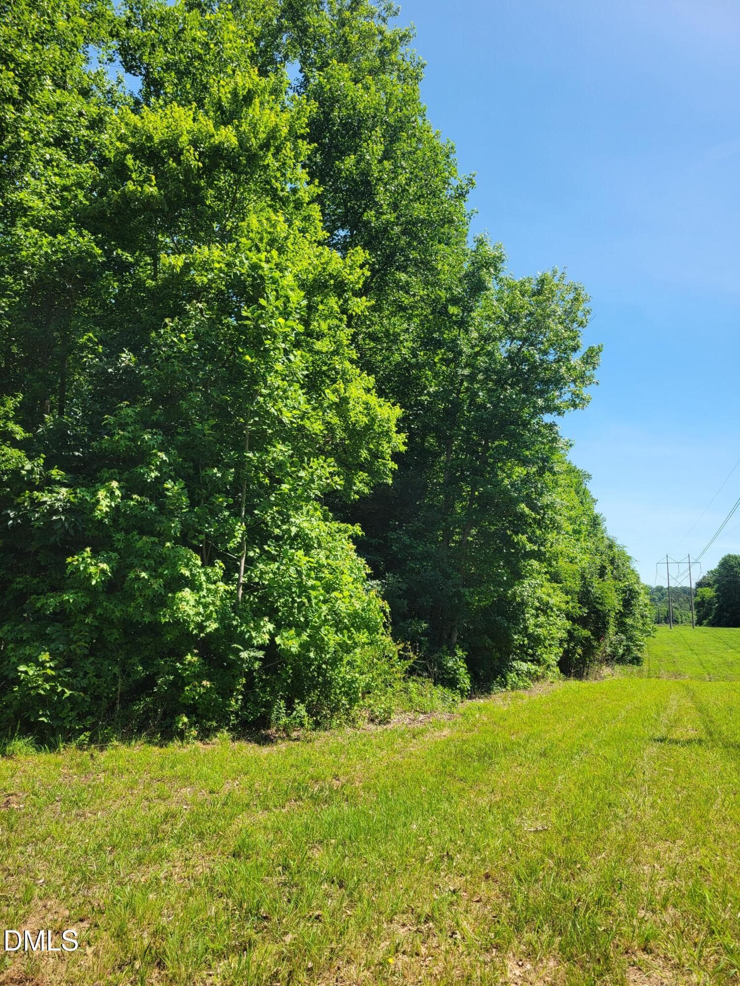 20260529_111611 - 0 Hicks Farm Road, Staley, NC 27355