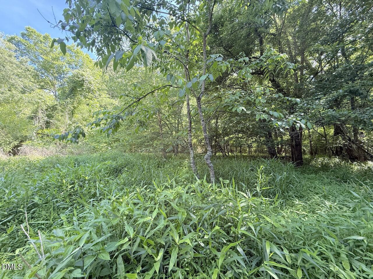 27 - 0 Tar River Rd Road, Oxford, NC 27565