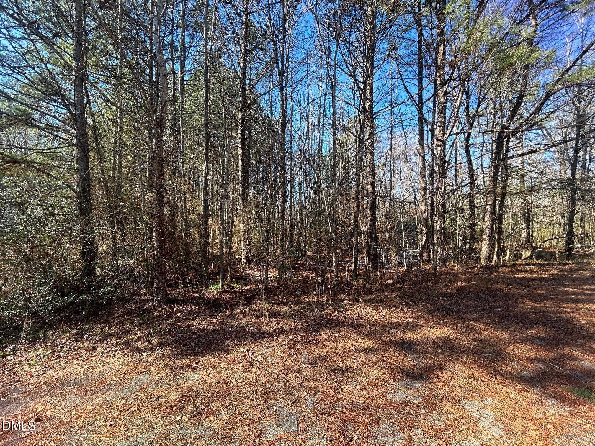 IMG_3931 - 14 & 15 Dove Road, Oxford, NC 27565