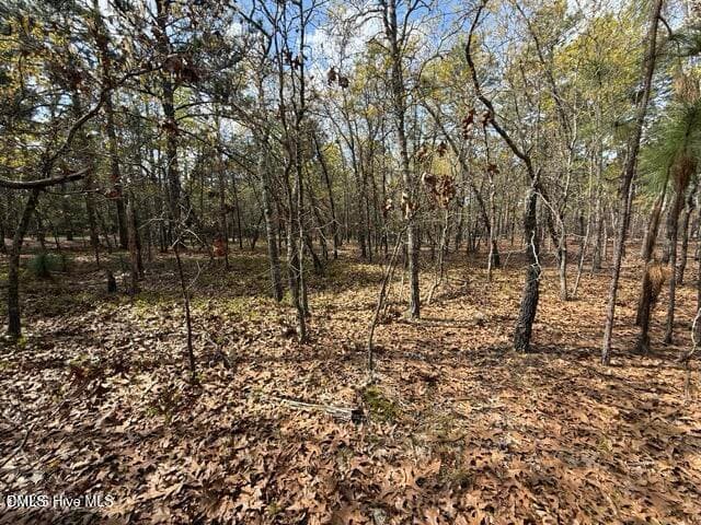 20260402021823734979000000-o - 27 Birkdale Way, Pinehurst, NC 28374, Pinehurst