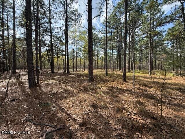 20260402021827214126000000-o - 27 Birkdale Way, Pinehurst, NC 28374, Pinehurst