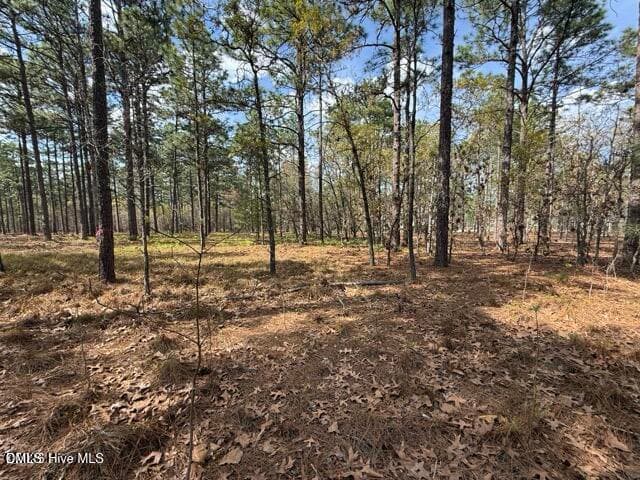 20260402021828145990000000-o - 27 Birkdale Way, Pinehurst, NC 28374, Pinehurst