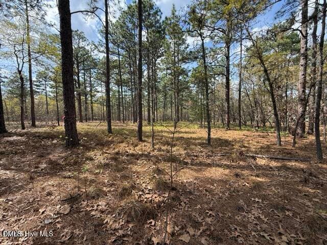 20260402021828535156000000-o - 27 Birkdale Way, Pinehurst, NC 28374, Pinehurst