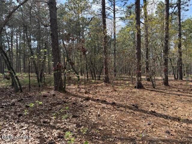 20260402021831054800000000-o - 27 Birkdale Way, Pinehurst, NC 28374, Pinehurst