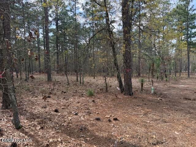 20260402021832382350000000-o - 27 Birkdale Way, Pinehurst, NC 28374, Pinehurst