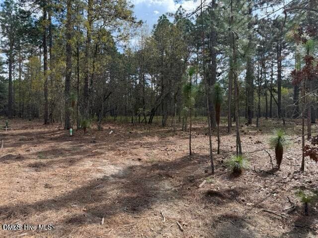 20260402021833265073000000-o - 27 Birkdale Way, Pinehurst, NC 28374, Pinehurst