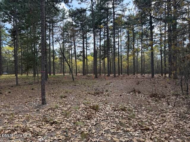 20260402021834102937000000-o - 27 Birkdale Way, Pinehurst, NC 28374, Pinehurst