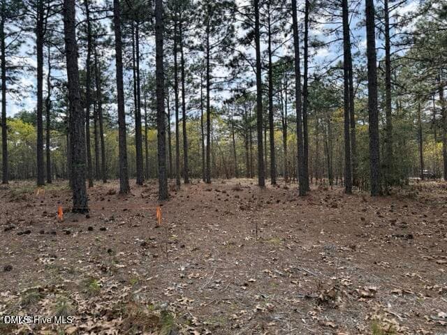 20260402021834935590000000-o - 27 Birkdale Way, Pinehurst, NC 28374, Pinehurst