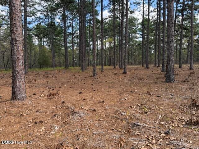 20260402021836633653000000-o - 27 Birkdale Way, Pinehurst, NC 28374, Pinehurst