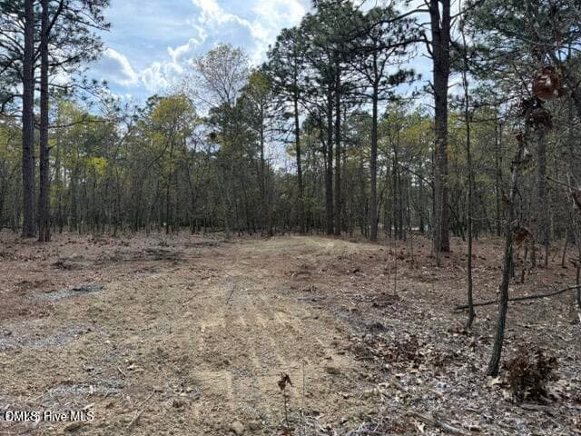 20260402021837087111000000-o - 27 Birkdale Way, Pinehurst, NC 28374, Pinehurst