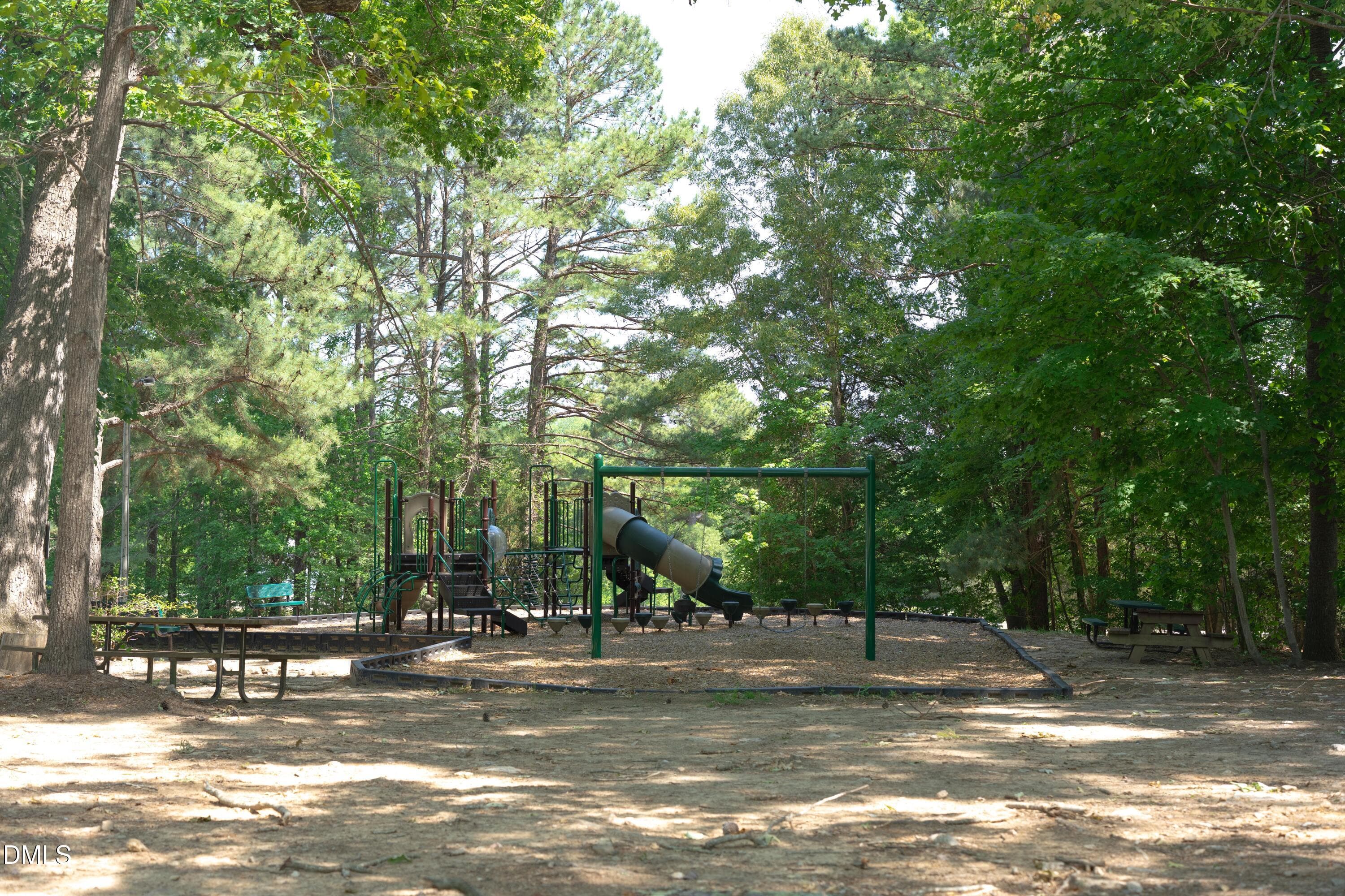 DSC00118 - 9807 Straightaway Lane, Bahama, NC 27503, Bahama