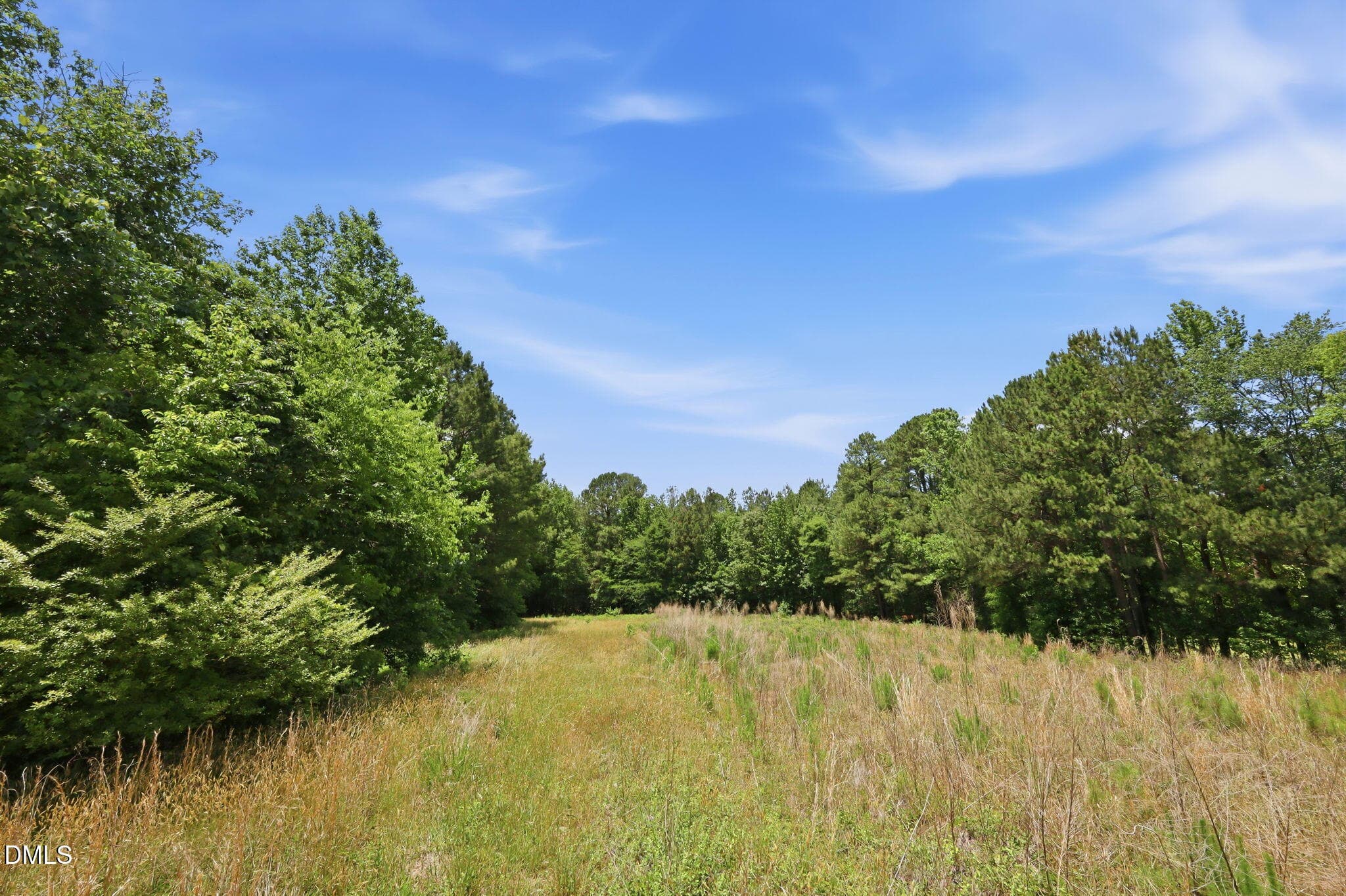 10-web-or-mls-IMG_3812 - 0 Pope Road, Creedmoor, NC 27522
