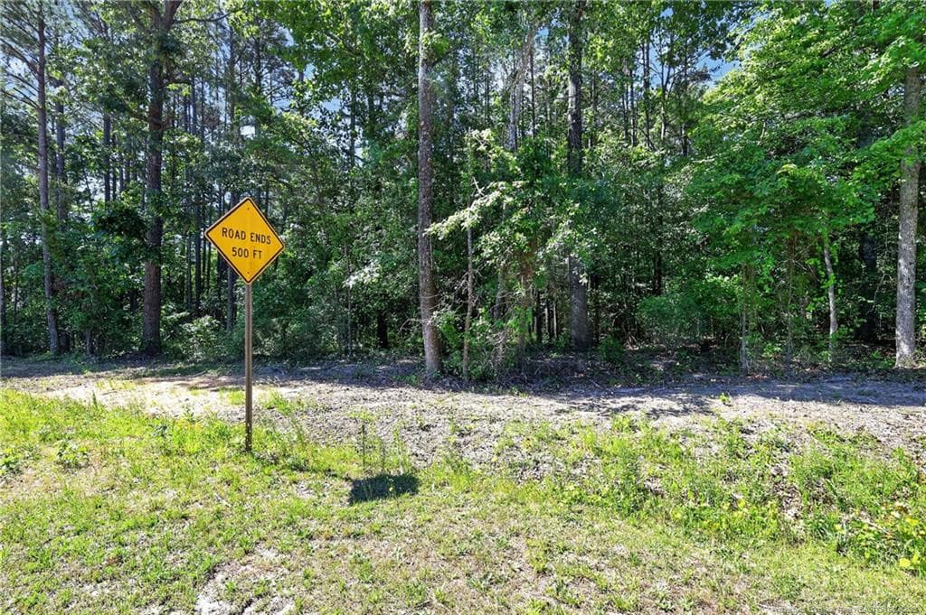 Photo 5 - 0 Fred Stone Road, Sanford, NC 27332