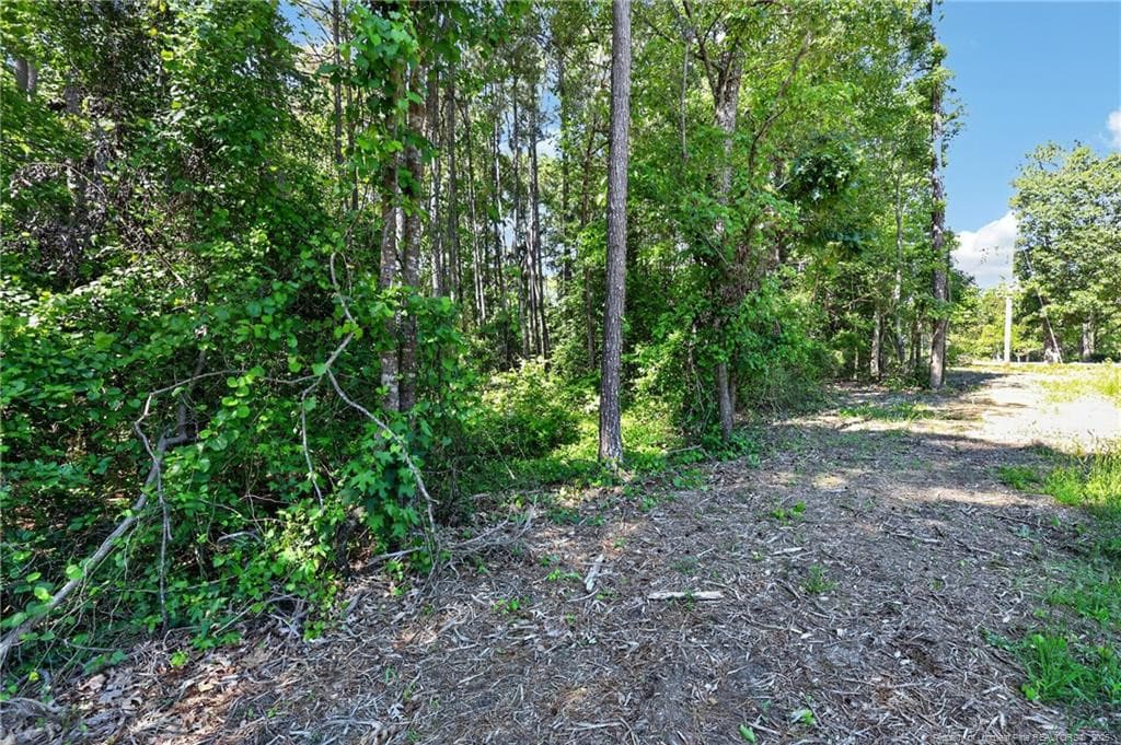 Photo 6 - 0 Fred Stone Road, Sanford, NC 27332