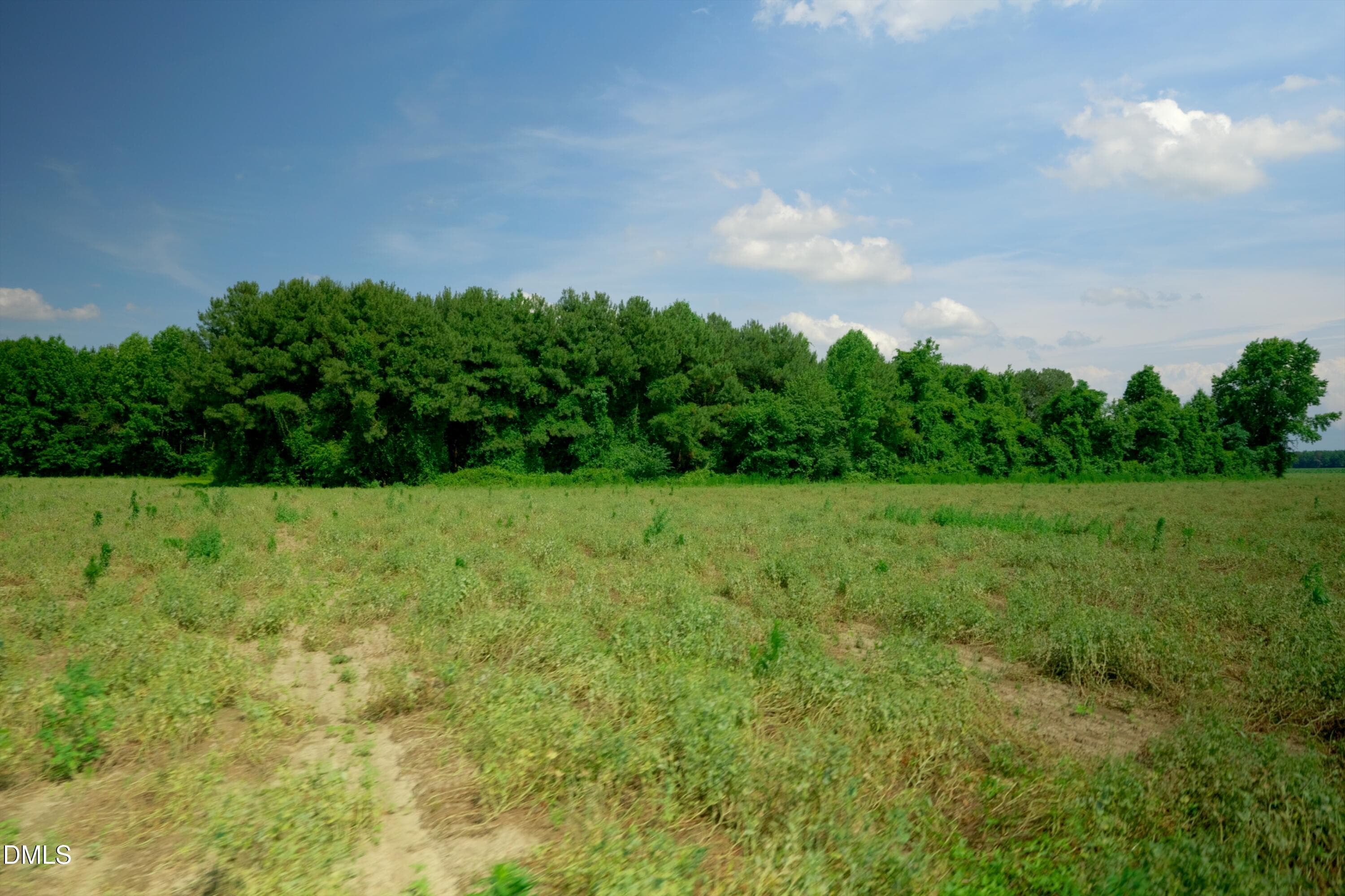 Sampson County Property Still Photo20 - 2 Bowden Road, Turkey, NC 28393