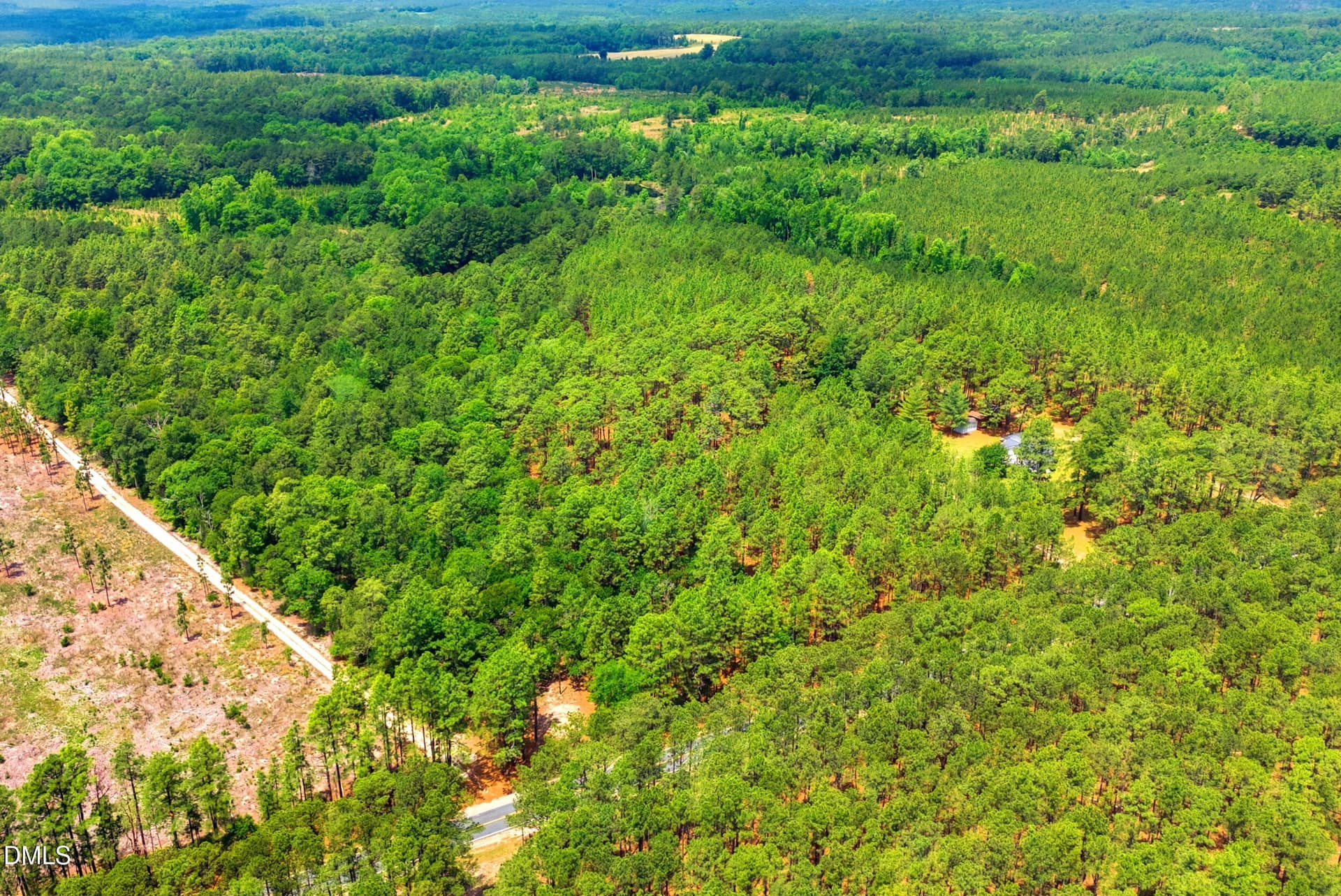 Pic 15 - 0 Flowers Road, Jackson Springs, NC 27281