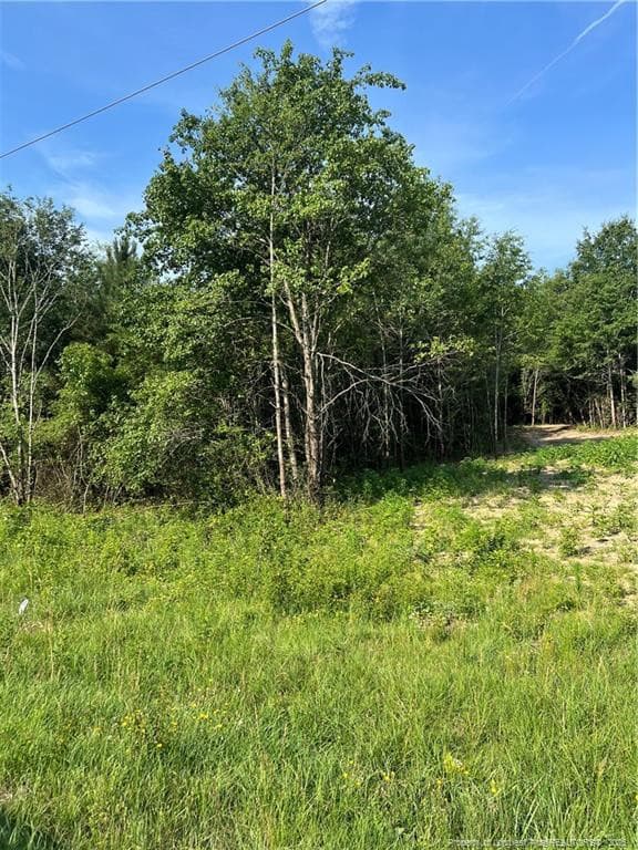 Photo 2 - 0 produce market rd Road, Laurinburg, NC 28352, Laurinburg