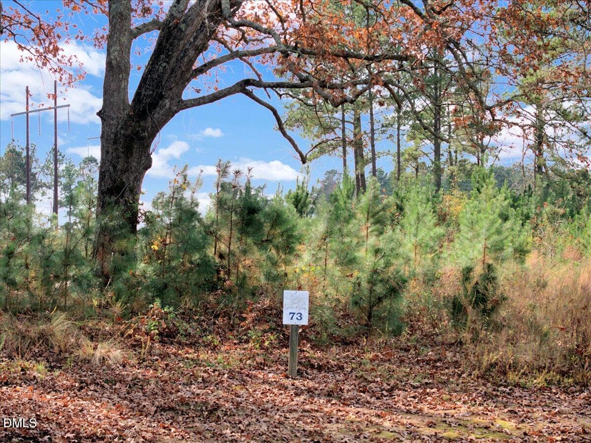 11-DJI_20251108135530_0256_D - 73 Pinnacle Shores Drive, Macon, NC 27551