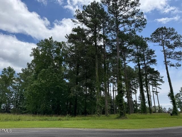 IMG_2273 - 40 Currituck Circle, Oriental, NC 28571, Oriental