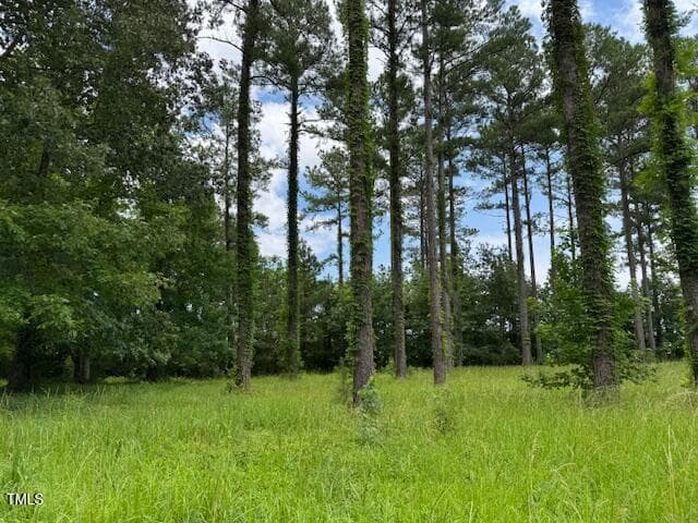 IMG_2276 - 40 Currituck Circle, Oriental, NC 28571, Oriental