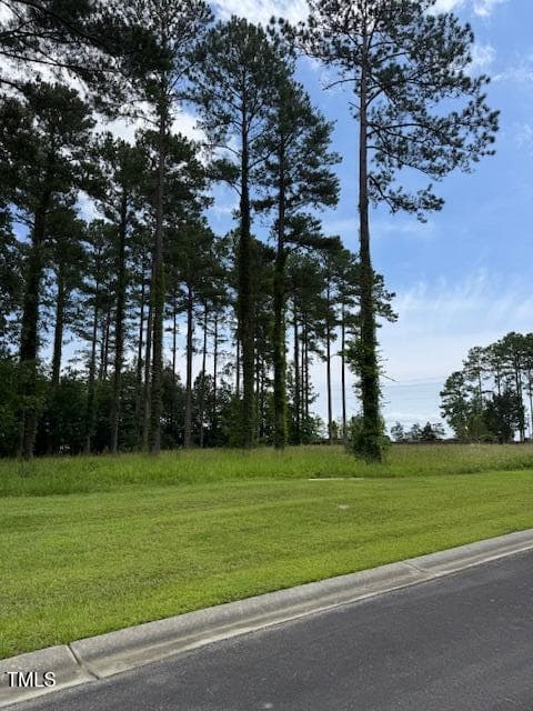 IMG_2271 - 40 Currituck Circle, Oriental, NC 28571, Oriental