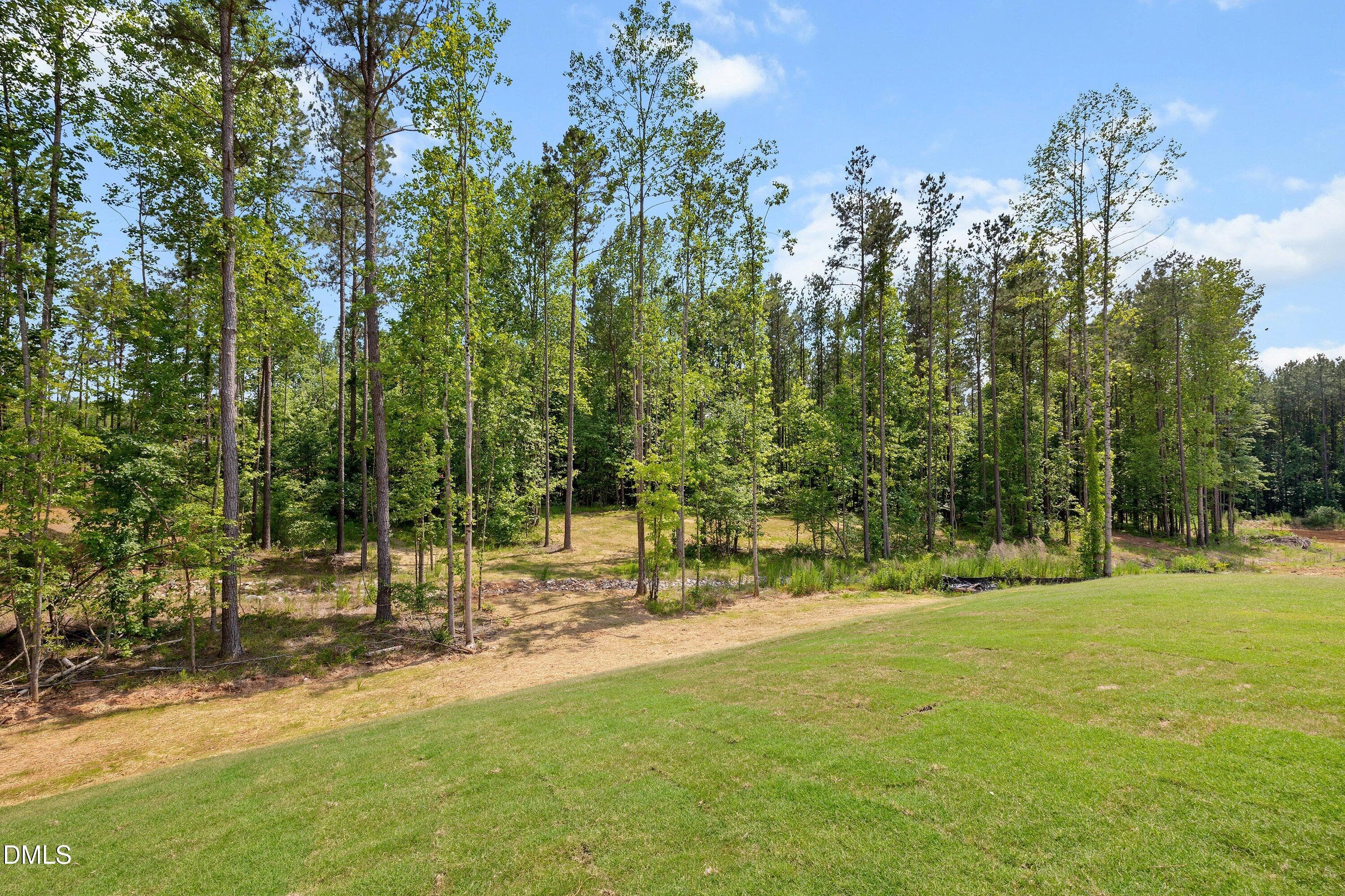 Backyard - 93 W Victoria Ridge Drive 30, Selma, NC 27576
