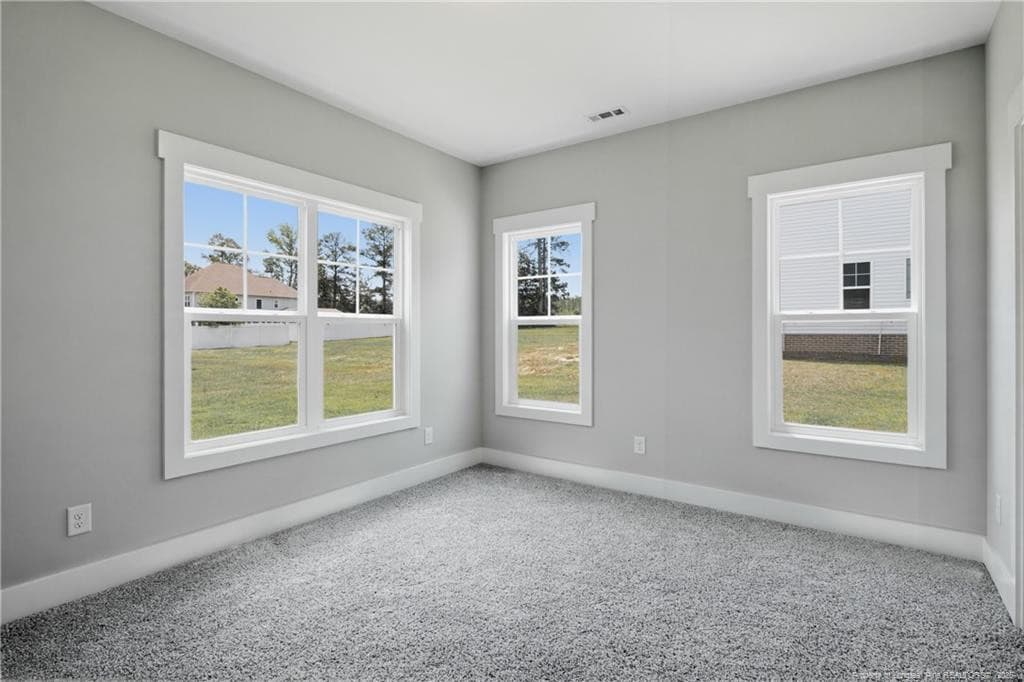 Photo 25 - 1931 Thomas Wood (Lot 101) Drive, Fayetteville, NC 28306, Fayetteville