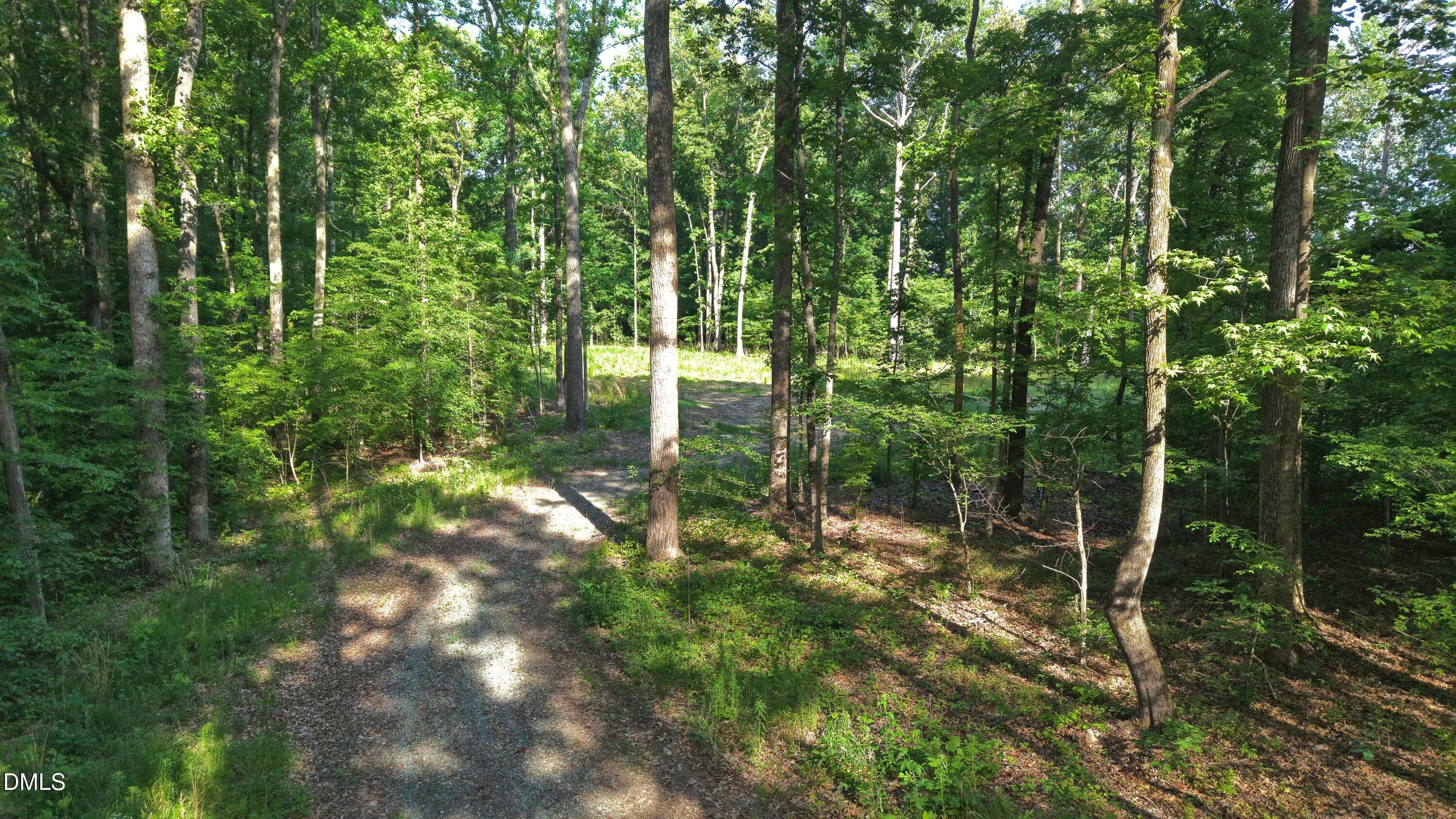 Driveway - Top - 6810 Sawyer Road, Liberty, NC 27298